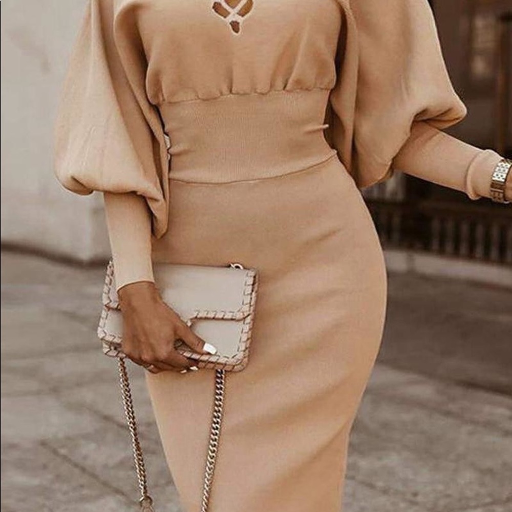Tan Long Sleeve Mid Length Dress NWT